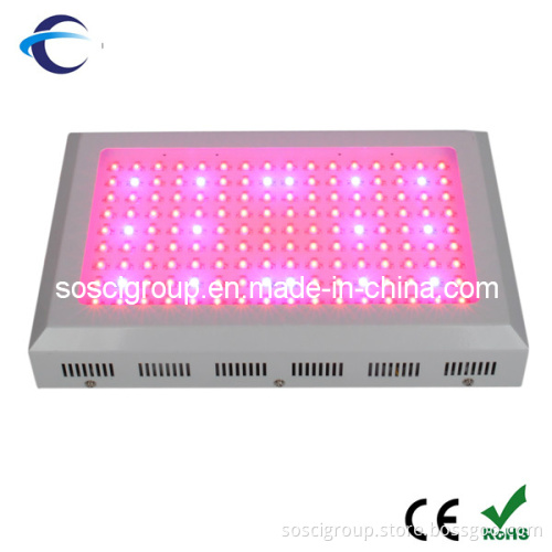 High Power 300W LED Grow Light with Customized Ratio & Color (SOS-144*3W)